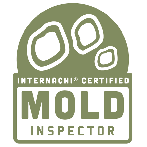 mold testing